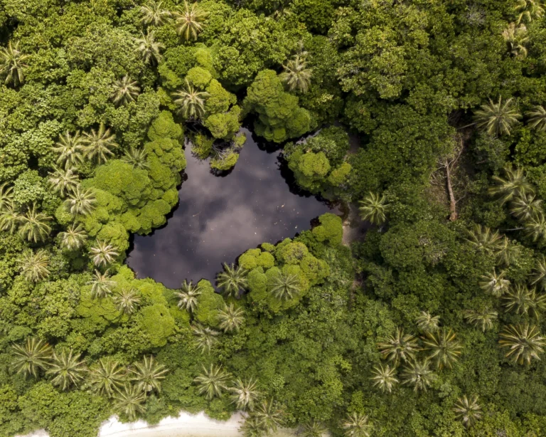 DJI_0149.webp