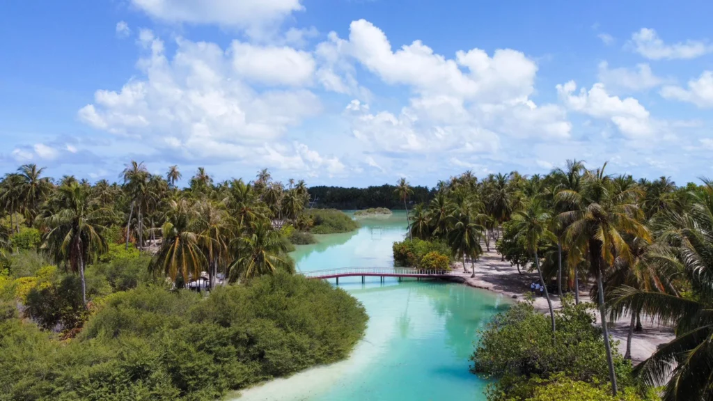 މާބައިދޫ އަަހަގުން ކޯރު